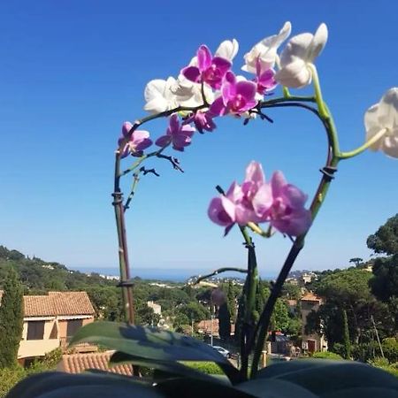 Appartement Hameau du soleil à Cavalaire-sur-Mer Extérieur photo
